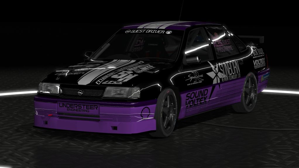 Car Skin