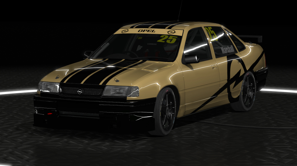 Car Skin